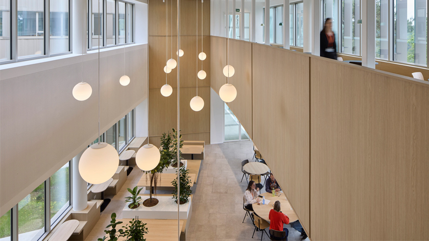 Open office lobby/atrium with large windows, round pendant lights, wooden wall panels, and people sitting at tables among plants in a two-story space.