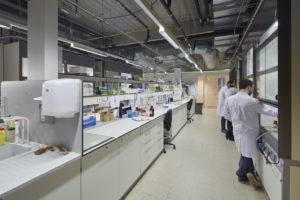 Nieuwbouw Chem & Tech lab KUL, laboproject SVR-ARCHITECTS