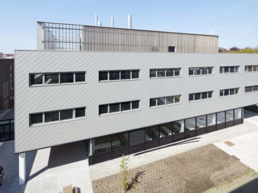 UNIVERSITEIT GENT<br><span style='color:#31495a;font-size:12px;'>Aquatische ecologie, milieutoxicologie, dierlijke reproductie</span>