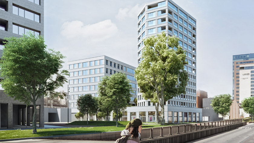 Kievit fase IIB | Antwerpen