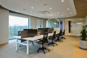 Open-plan office with a row of white desks, multiple monitors, and ergonomic chairs, large windows showing trees outside.
