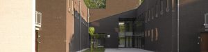 UAntwerpen-Bio-imaging center