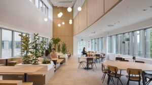 Bright, airy cafeteria or study lounge with wooden tables and chairs, large windows, and potted plants along the seating area.