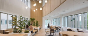 Bright, airy cafe interior with wooden tables, large windows, and a line of potted plants along a seating bench.
