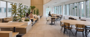 Bright, modern lounge/cafe area with wooden tables, light chairs, and abundant potted plants along a wall of windows.
