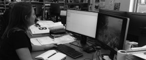 Architecte junior indépendant | Stagiaire (ir) architecte